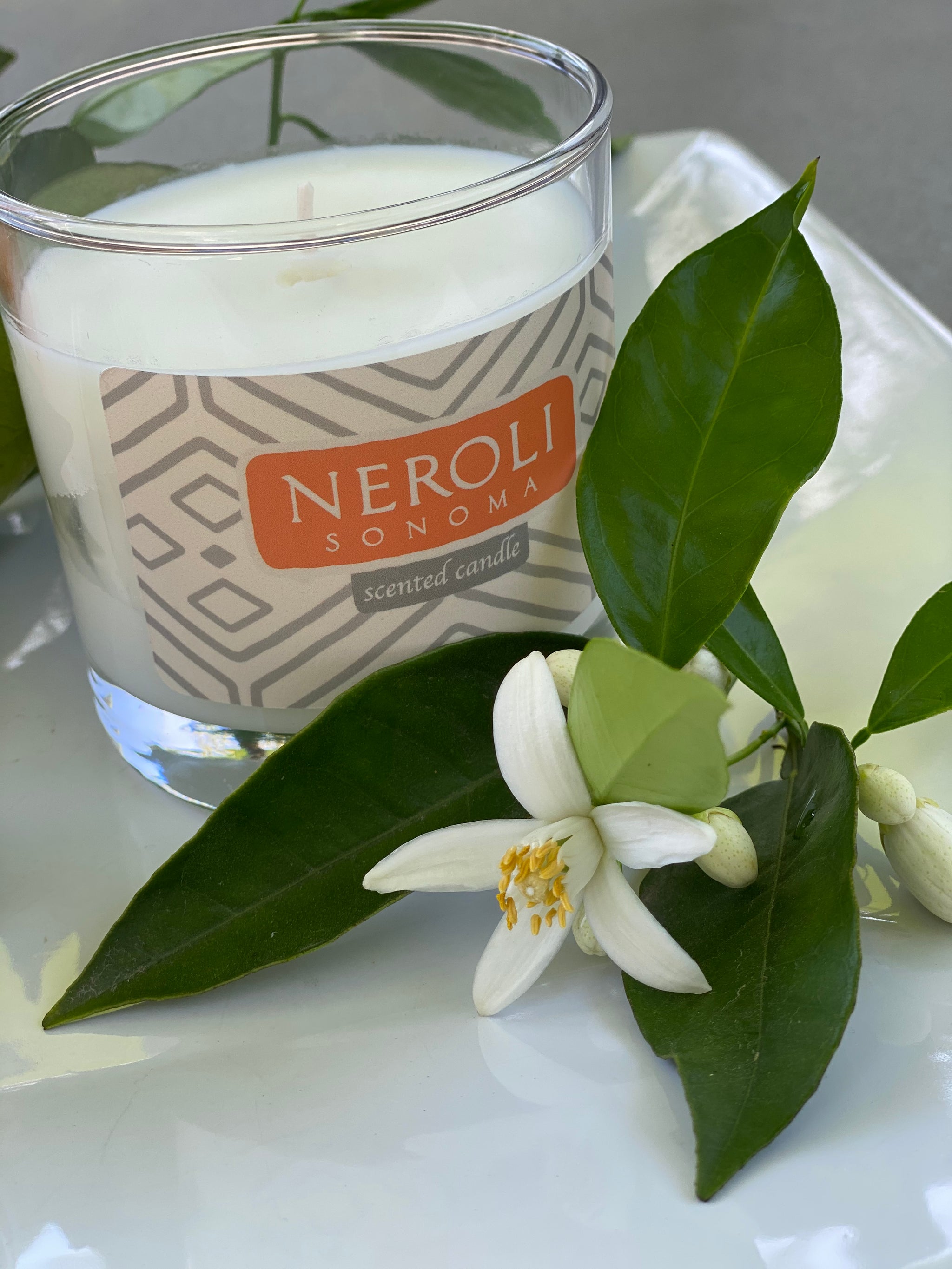 Neroli Sonoma Collection Candle